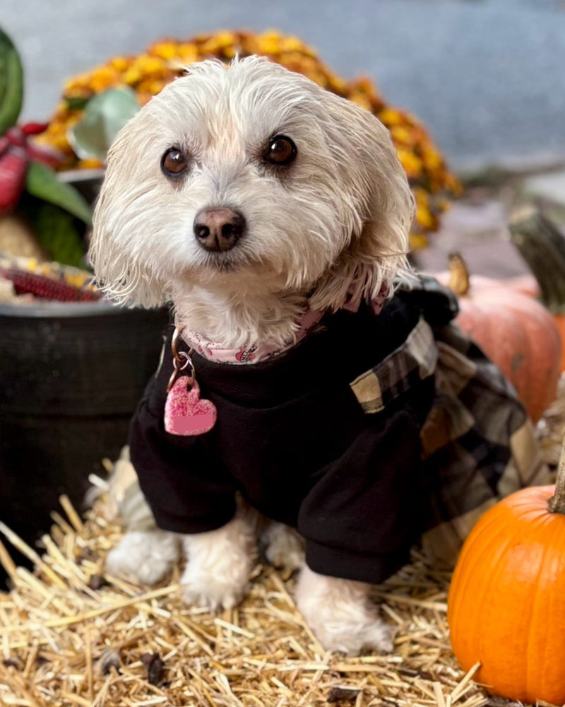 Built on a Foundation You Can Trust